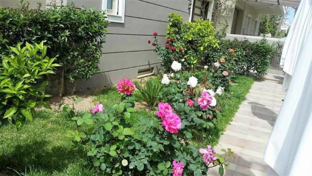 Апартаменты Maria'S Rose Garden Лефкада Экстерьер фото